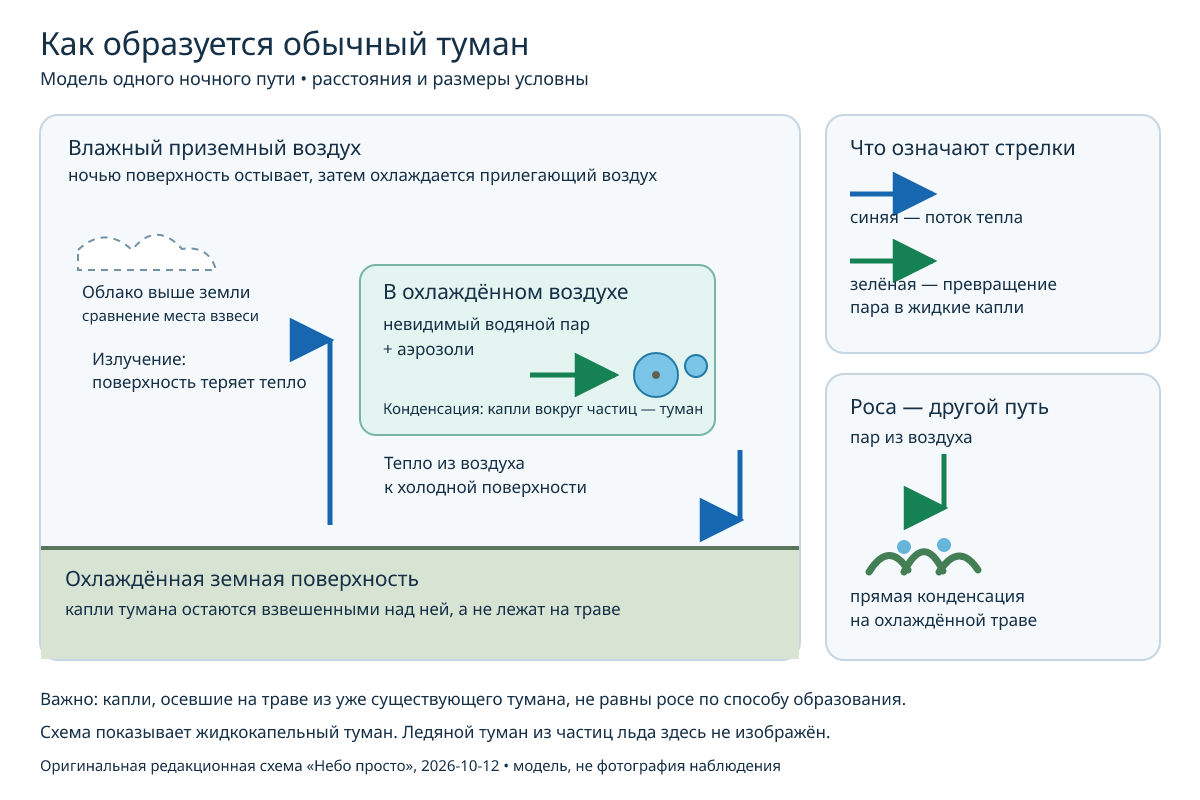 Обычный туман: поверхность ночью теряет тепло; более тёплый приземный воздух отдаёт ей тепло и охлаждается; водяной пар конденсируется на аэрозолях во взвешенные капли. На широкой схеме синие стрелки показывают теплопередачу, на мобильной — порядок причинных шагов. Роса отдельно возникает на охлаждённом предмете.
