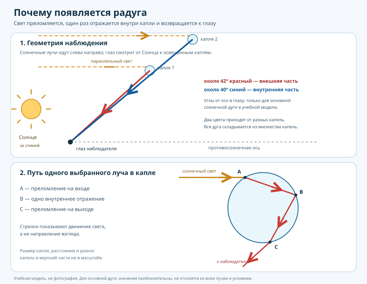 Учебная схема основной радуги: Солнце за наблюдателем, капли впереди; разные цвета преломляются по-разному, частично отражаются внутри капель и вновь преломляются. К глазу разные цвета приходят от разных капель под разными углами.